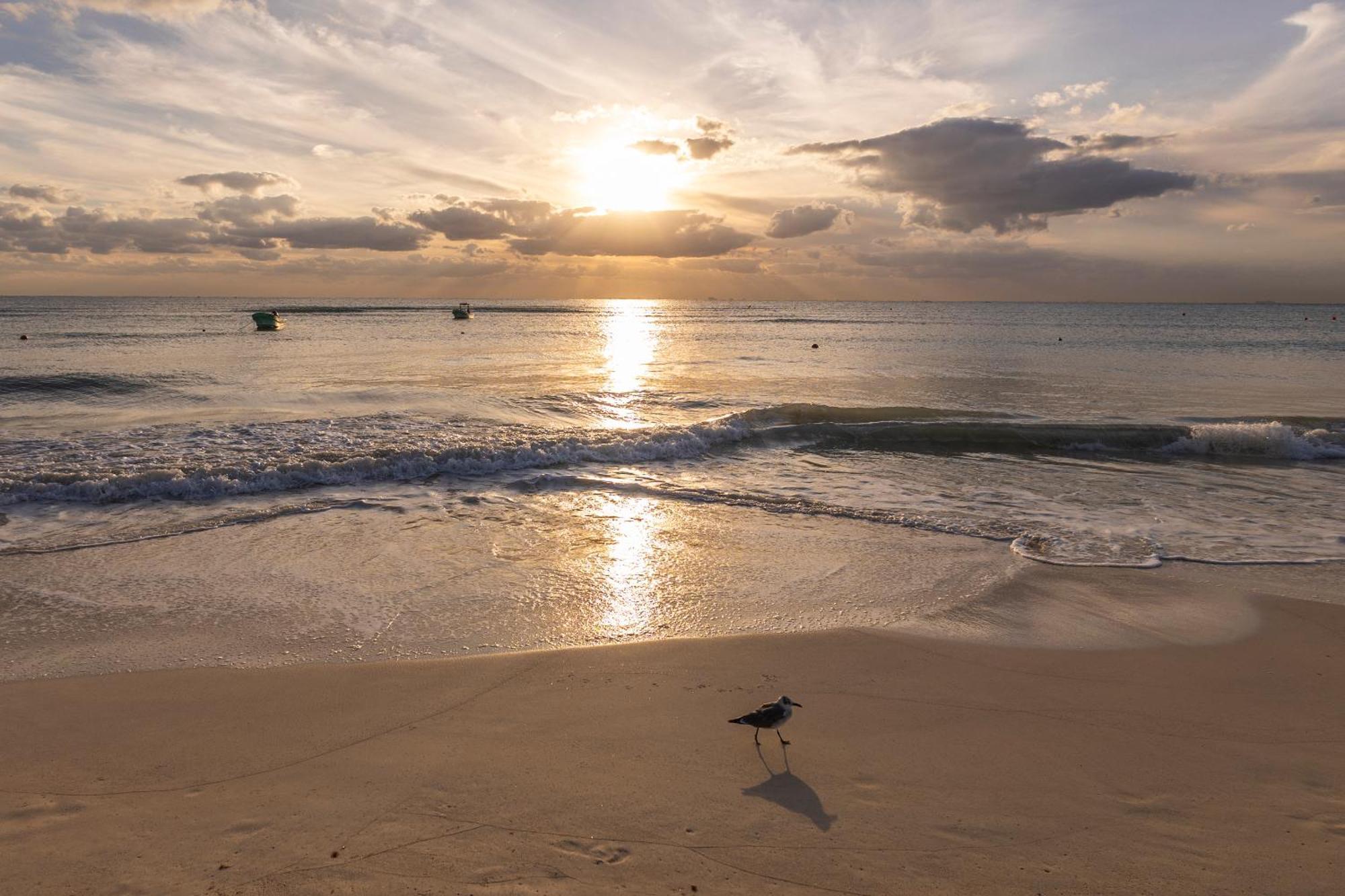 Areia Playa Del Carmen - Beach Front Hotel Exterior foto